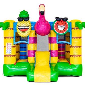 Mini Bounce Flamingo 5